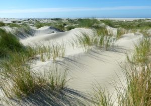 Julianadorp hat die schönsten und zierlichsten Dünen der Niederlanden
